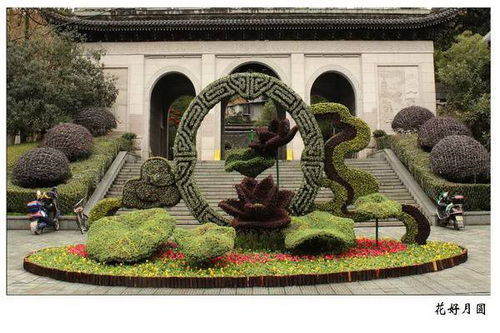 四川大型雕塑廠 大型鳳凰五色草造型廠家專業(yè)定制保質(zhì)保量