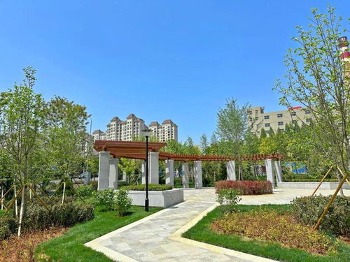 旅順這個產(chǎn)業(yè)園區(qū)景觀工程完工,來看看咋樣